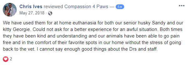 review | In-Home End of Life Care for Pets | Pet Loss Services | Pet Acupuncture | Pet Laser Therapy | Seattle Area