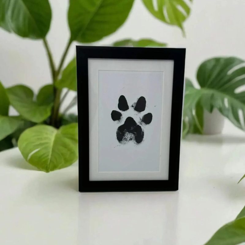 Paw Ink print