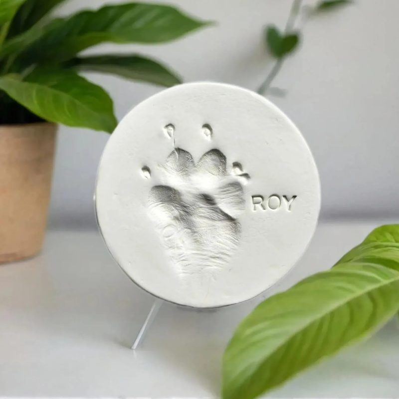 paw prints